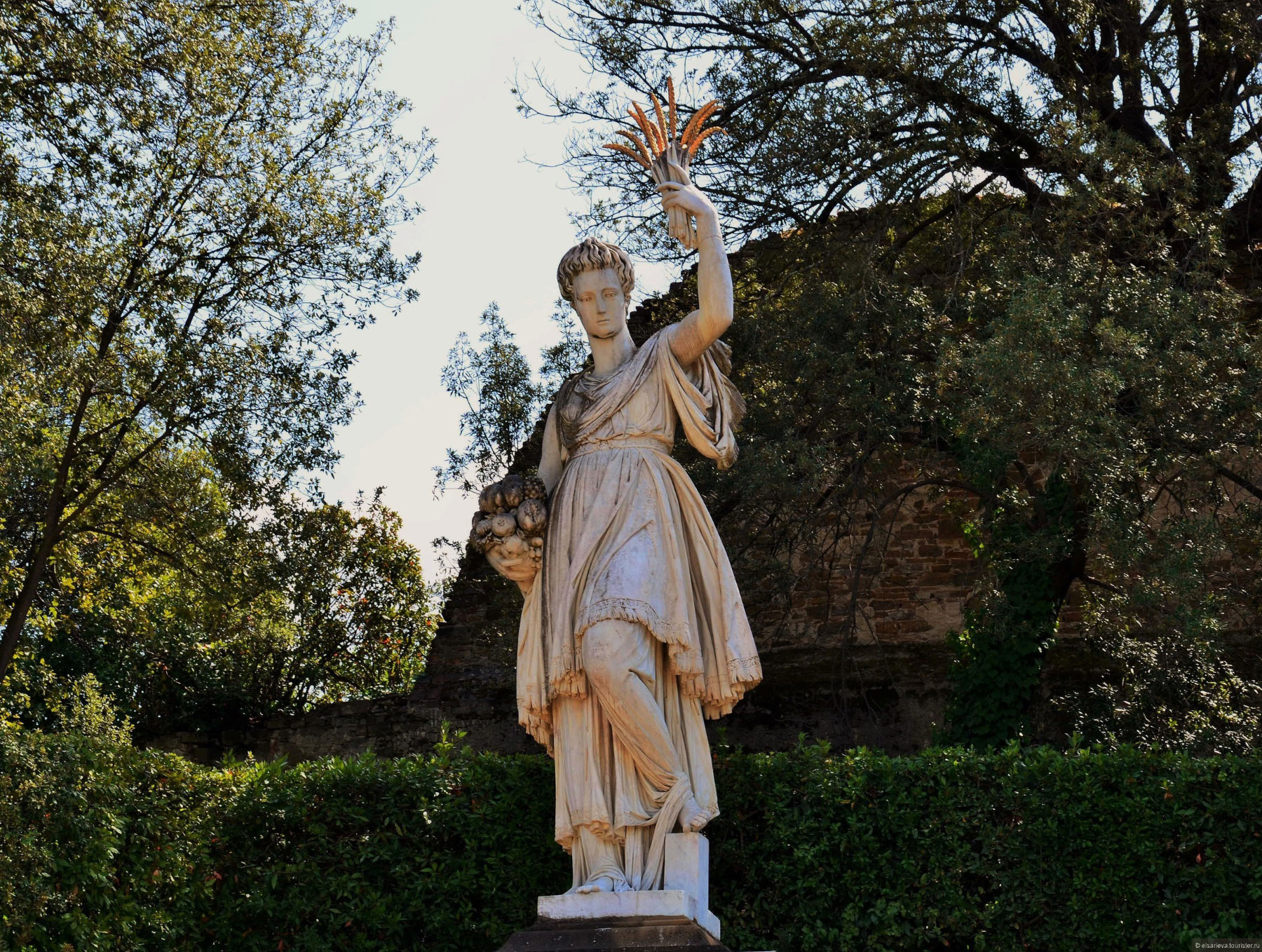 Firenze